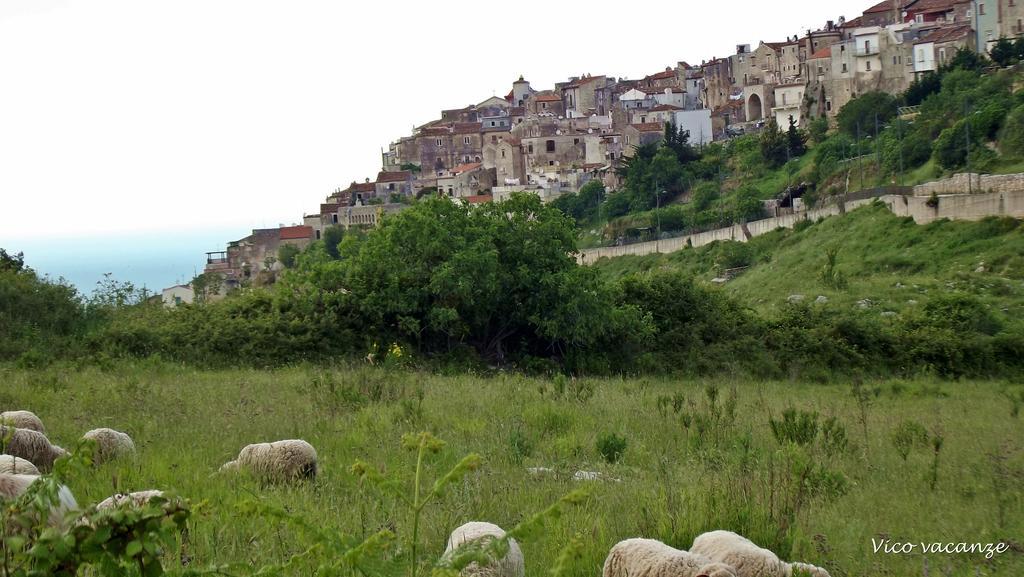 B&B Vico Vacanze Vico Del Gargano Exterior foto